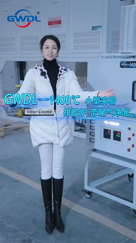 Compact Lab Debinding Furnace with VOC Abatement System